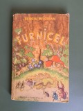 Furnicel - Sergiu Milorian, 1954 / R6P3F