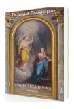 Vindecarea Divină - Paperback brosat - Joshua David Stone - Agni Mundi