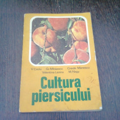 CULTURA PIERSICULUI - V. COCIU