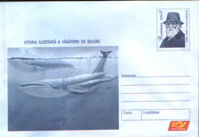 Intreg pos plic nec 2004 - Istoria Ilustrata a Vanatorii de Balene foto