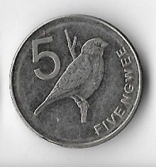 Moneda 5 ngwee 2012 - Zambia foto