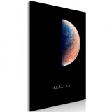 Cumpara ieftin Tablou - Jupiter (1 Part) Vertical 60x90 cm