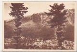 Bnk cp Poiana Tapului - Vedere generala - necirculata, Printata, Prahova