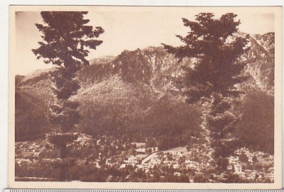 bnk cp Poiana Tapului - Vedere generala - necirculata foto