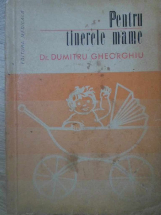 PENTRU TINERELE MAME-DUMITRU GHEORGHIU