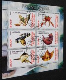 Congo 2011 &ndash; Faune de Mer &ndash; Coliță cu 6 mărci Faună Marină FDC -A61