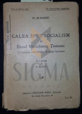 CALEA SPRE SOCIALISM SI BLOCUL MUNCITORESC ROMAN IN UNIUNEA REPUBLICELOR SOVIETICE SOCIALISTE