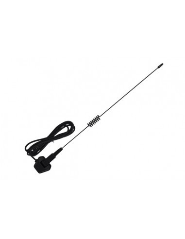 Antena pavilion cu arc