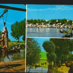 CPI B13203 CARTE POSTALA - TULCEA. PESCUIT IN DELTA