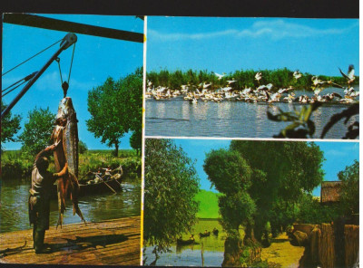 CPI B13203 CARTE POSTALA - TULCEA. PESCUIT IN DELTA foto