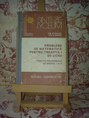 Ion Mitrache - Probleme de matematica pt treapta I de liceu &amp;quot;A2060&amp;quot; foto