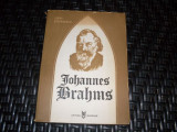Johanness Brahms - Ioana Stefanescu ,552649, Muzicala