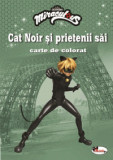 Cat Noir si prietenii sai. Carte de colorat, Aramis