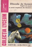 Dincolo de forma. Pagini de poezie si proza maghiara din Romania