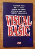 Visual basic de Gheorghe Popa, Matei Iliescu