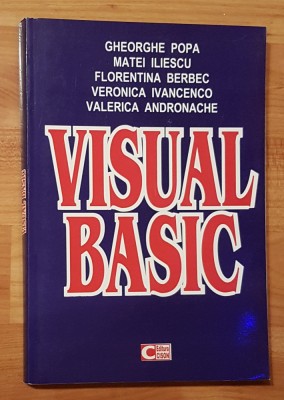 Visual basic de Gheorghe Popa, Matei Iliescu foto