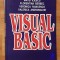 Visual basic de Gheorghe Popa, Matei Iliescu