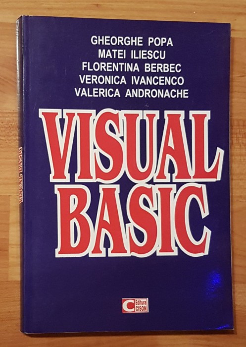 Visual basic de Gheorghe Popa, Matei Iliescu