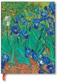 Carnet - Mini, Lined - Van Gogh - Irises | Paperblanks