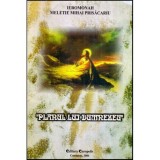 Ieromonah Meletie Mihai Prisacariu - Planul lui Dumnezeu - 117889