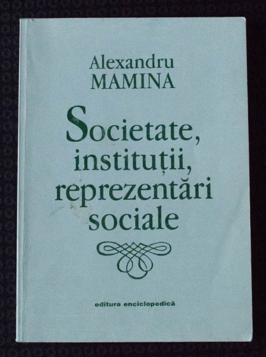 Alexandru Mamina - Societate, instituții, reprezentări sociale