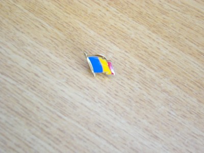 QW9 N3 28 - insigna - steag - Romania - tricolorul foto