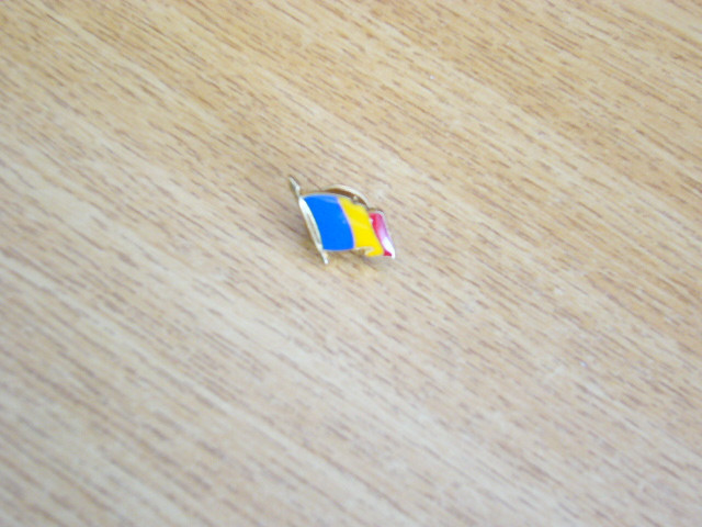 QW9 N3 28 - insigna - steag - Romania - tricolorul