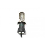 Bec xenon H4 - 6000K