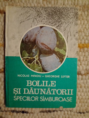 Nicolae Minoiu, Gheorghe Lefter: Bolile şi dăunătorii speciilor s&amp;acirc;mburoase foto