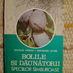 Nicolae Minoiu, Gheorghe Lefter: Bolile şi dăunătorii speciilor sâmburoase