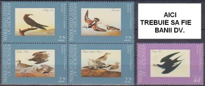 MICRONESIA - 1985 - PASARI - Audubon foto
