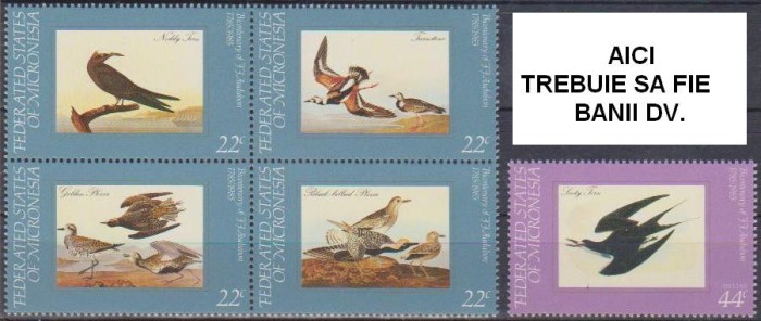 MICRONESIA - 1985 - PASARI - Audubon