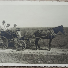 Scena cu trasura trasa de cai, Romania interbelica// fotografie