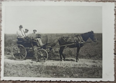 Scena cu trasura trasa de cai, Romania interbelica// fotografie foto