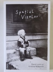 SPATIUL VISELOR de DAVID LYNCH si KRISTINE MCKENNA , 2024 *MICI DEFECTE foto