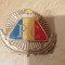 QW14 - Emblema militara - Comunism - Garzi patriotice - piesa de colectie