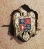 QW14 - Emblema militara / cuc - uscat - piesa de colectie