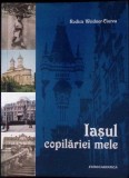 IASUL COPILARIEI MELE-RODICA WEIDNER CIUREA-359075