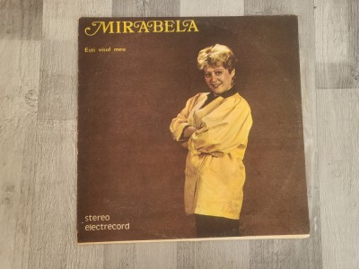 Esti visul meu- Mirabela Dauer foto