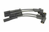 Set fise bujii LANCIA MUSA (350) (2004 - 2012) ITN 31-IK-380