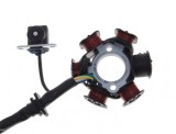 Stator aprindere cu cititor, 6 bobine, 5 fire Cod Produs: MX_NEW STD20011