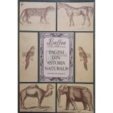 Buffon - Pagini din istoria naturala (Editia: 1981)