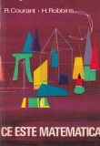 R. Courant, H. Robbins - Ce este matematica