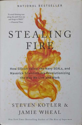 STEALING FIRE. HOW SILICON VALLEY, THE NAVY SEALS, AND MAVERICK SCIENTISTS ARE REVOLUTIONIZING THE WAY WE LIVE A foto