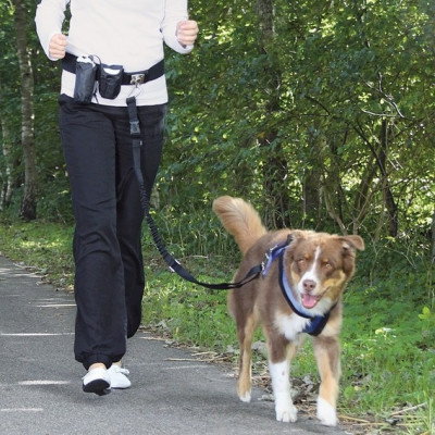 Centură talie cu lesă pentru c&amp;acirc;ini p&amp;acirc;nă la 40kg foto