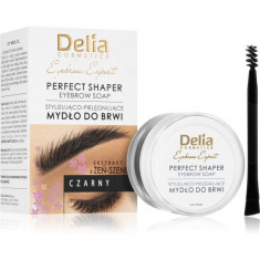 Delia Cosmetics Eyebrow Expert ceară de fixare pentru sprâncene culoare Black 10 ml