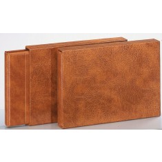 Etui de protectie pentru Albumul-Special A3 1020