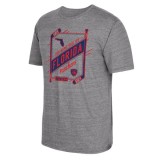 Florida Panthers tricou de bărbați grey Our Home Our Ice - XL