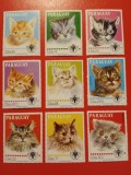 PARAGUAY, PISICI - SERIE COMPLETĂ MNH