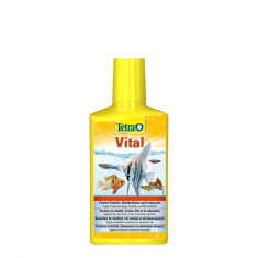 TetraAqua Vital 100ml